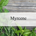 Myrcene **